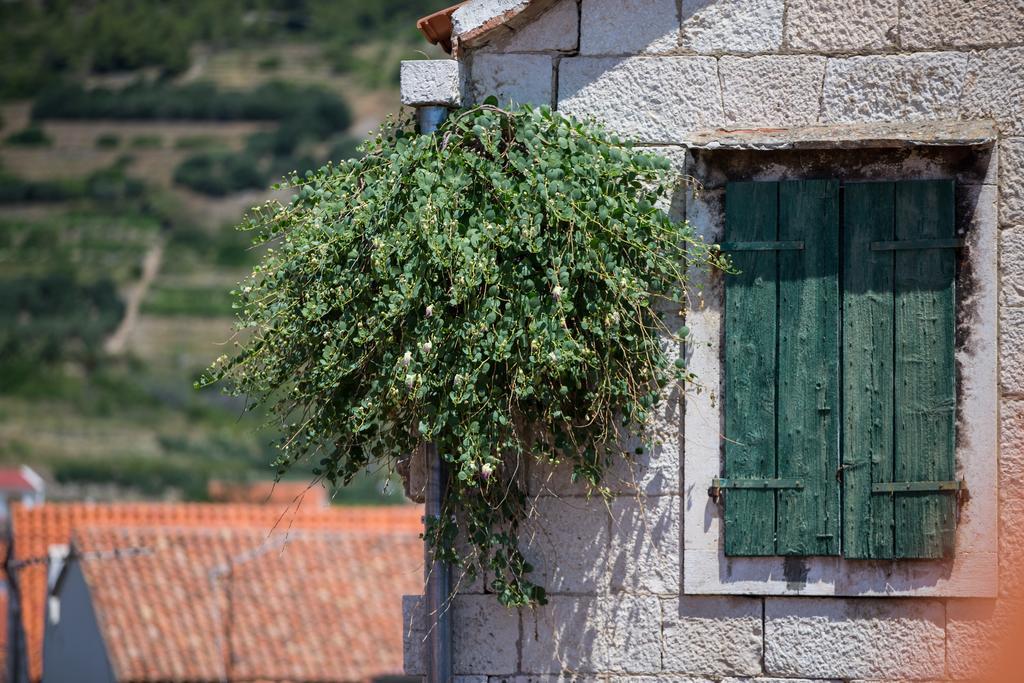 Apartament Anka Komiža